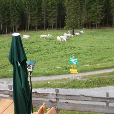 Отель Gasthof Untere Valentinalm Plocken Экстерьер фото