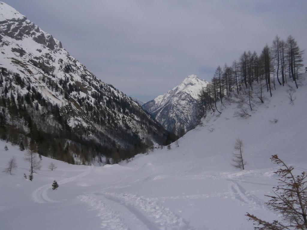 Отель Gasthof Untere Valentinalm Plocken Экстерьер фото